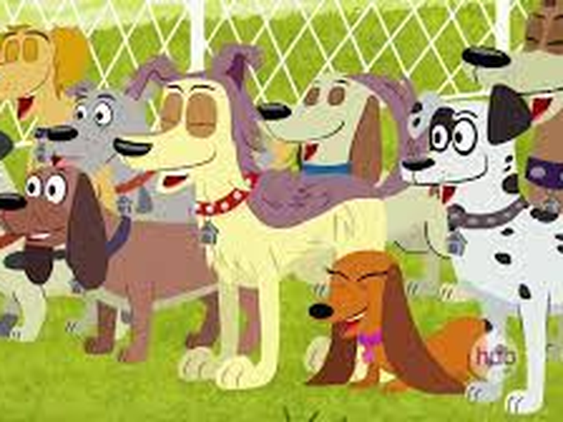 Foto 3 de Cãezinhos do Canil