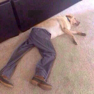 Foto de perfil de Lucas