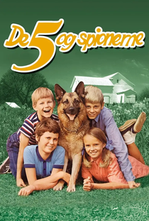Five and the Spies - Poster / Capa / Cartaz - Oficial 1