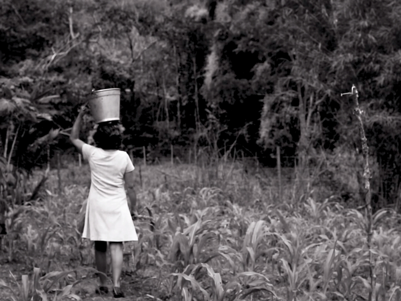 Foto 1 de A Terra Nua