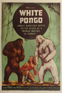 Pongo, O Gorila Branco - Poster / Capa / Cartaz - Oficial 2