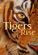 Tigres em Ascensão (Tigers on the Rise)