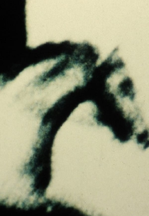 The Exquisite Hour (The Exquisite Hour)