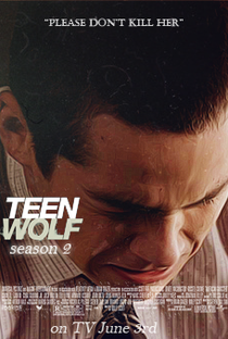 Teen Wolf (2ª Temporada) - Poster / Capa / Cartaz - Oficial 2