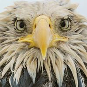 Foto de perfil de Ricardo