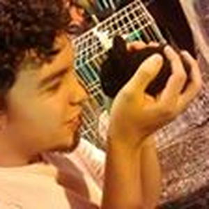 Foto de perfil de Ivo