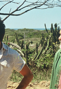 A Encomenda (A Encomenda)