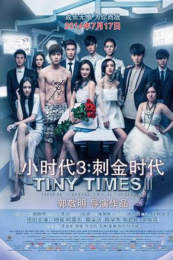 Poster de Filme Tiny Times 3.0 (2014)