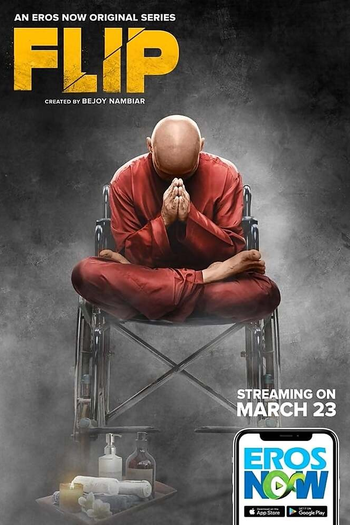Poster de Franquia Flip (2019)