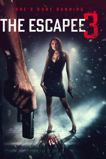 Poster de Filme The Escapee 3: The Final Escape (2024)
