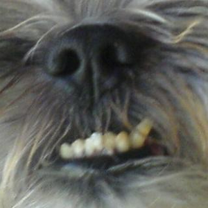 Foto de perfil de Duanny
