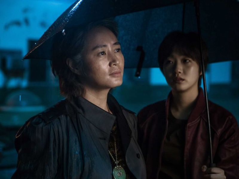 Foto 1 de A Menina do Guarda-Volume