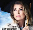 A Anatomia de Grey (12ª Temporada)
