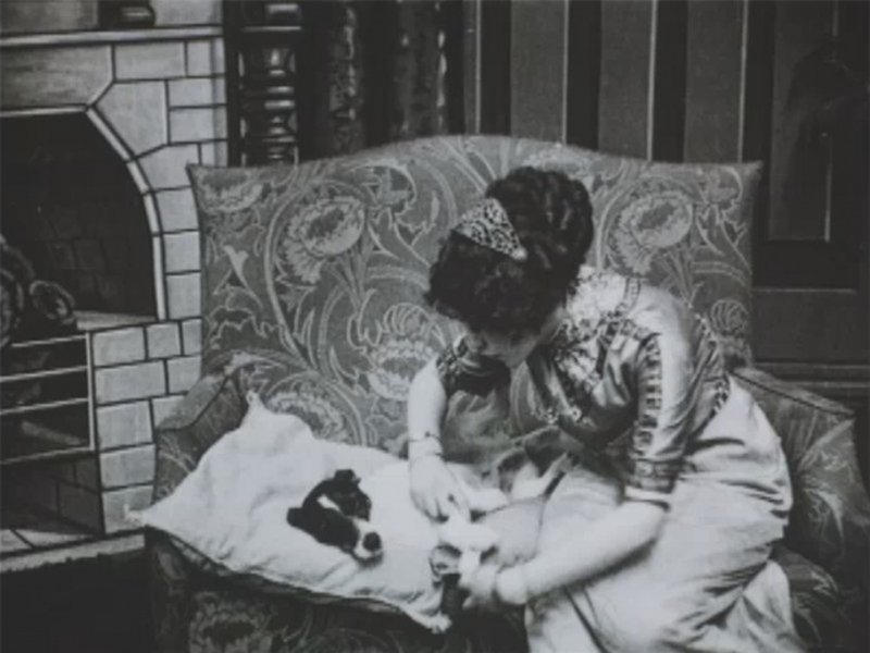 Foto 3 de A Canine Sherlock Holmes