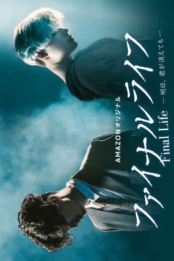 Poster de Série Final Life (2017)