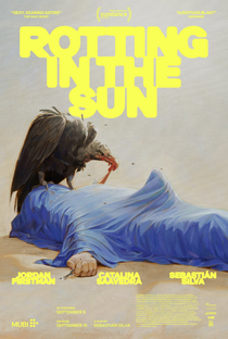 Rotting in the Sun - Poster / Capa / Cartaz - Oficial 1