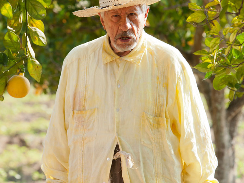 Foto 19 de Coração Indomável