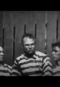 O Audacioso Assalto ao Banco (The Bold Bank Robbery)