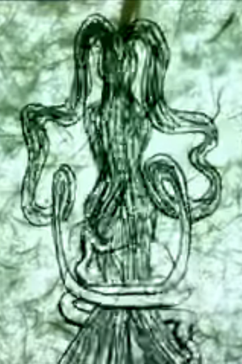 Poster de Curta Nature Embodied (2006)