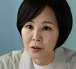 13회