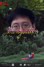 Mangostão (Mangosteen)
