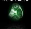 In Utero