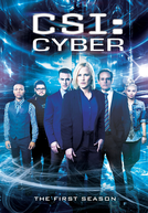 CSI: Cyber (1ª Temporada)