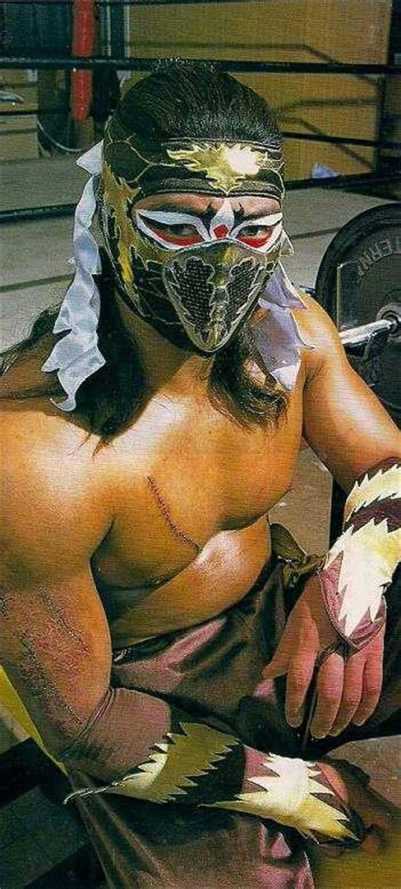 Hayabusa - Foto 5