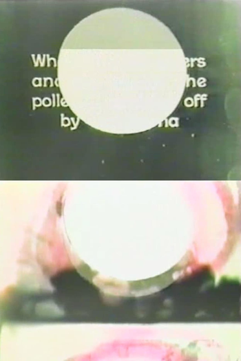 Poster de Curta On Eye Rape (1962)