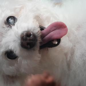 Foto de perfil de HMM