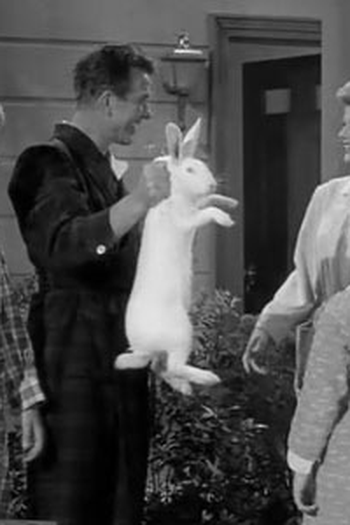 Poster de Episódio Beaver and Henry (1958)