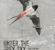 Under the Grey Sky