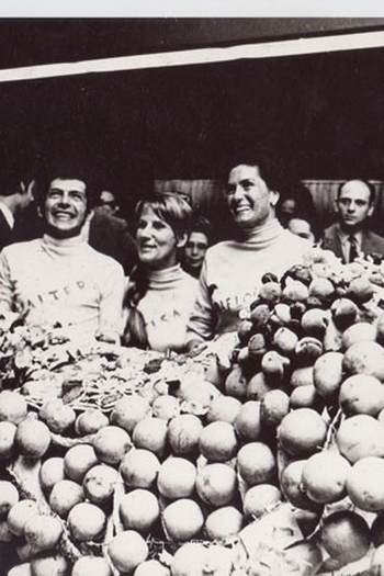 Poster de Curta Marabunta (1967)