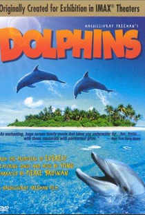 Dolphins - Poster / Capa / Cartaz - Oficial 1