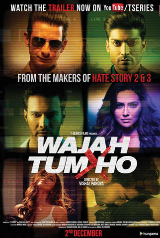 Poster 1 de Filme Wajah Tum Ho (2016)