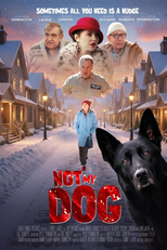 Not My Dog (Not My Dog)