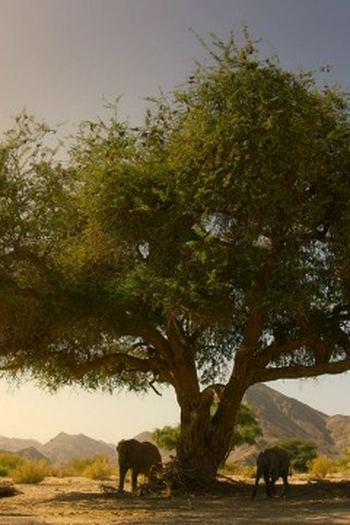 Poster de Episódio Namib: Skeleton Coast and Beyond (2021)