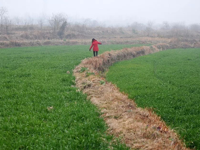 Foto 2 de Still Tomorrow