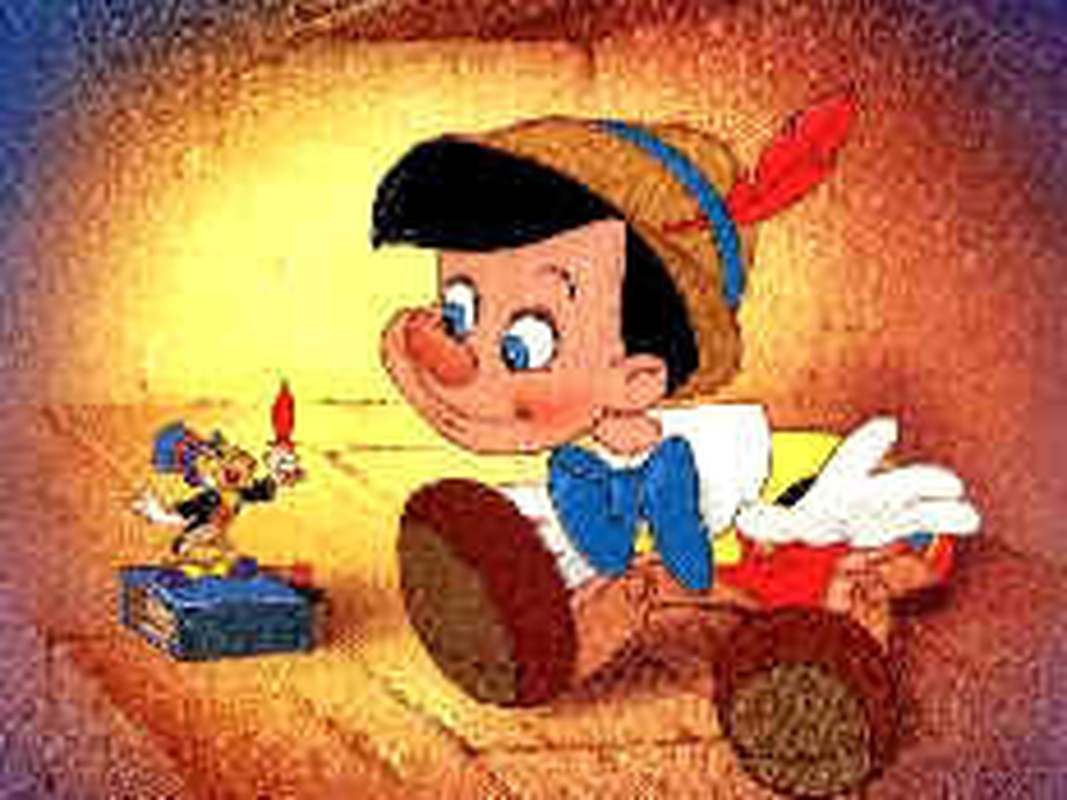 André Crespo Machado - Foto 6