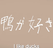 I Like Ducks