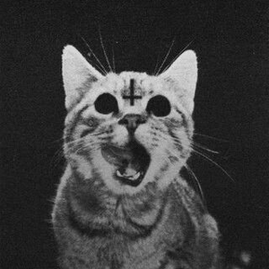 Foto de perfil de Patricia_MS