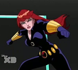 Widow's Sting