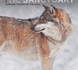 The Sanctuary: Survival Stories of the Alps