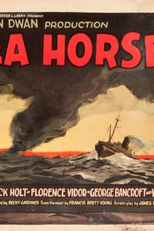 Nas Ondas Azuis da Incerteza (Sea Horses)