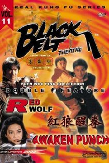  de Filme Fúria do Faixa Preta (1973)