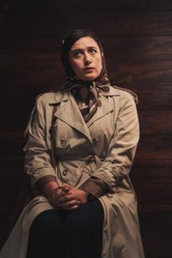 Poster de Episódio The Informant (2026)