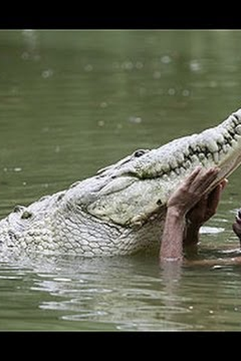 Poster de Filme O Homem Que Nada com Crocodilos (2013)