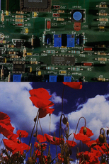 Wasteland No. 1: Ardent Verdant (Wasteland No. 1: Ardent Verdant)