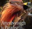 Attenborough no Paraíso e Outras Viagens Pessoais