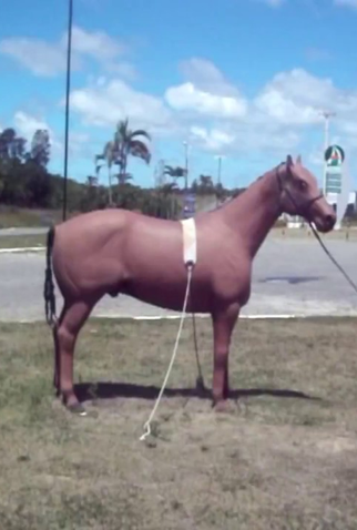 Poster 1 de Curta Clop (2017)